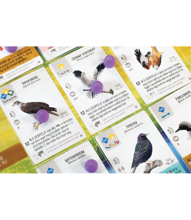 Wingspan: Europe (NL) - Board game
