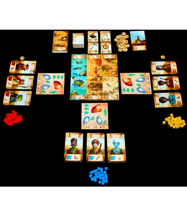 Roam (NL) - Board game