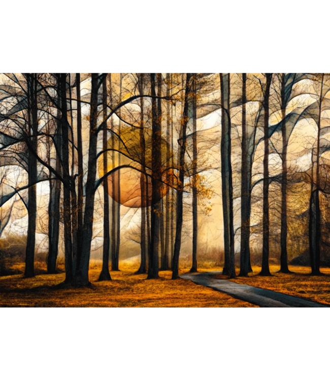 Magisch Woud  (1000 Stukjes)