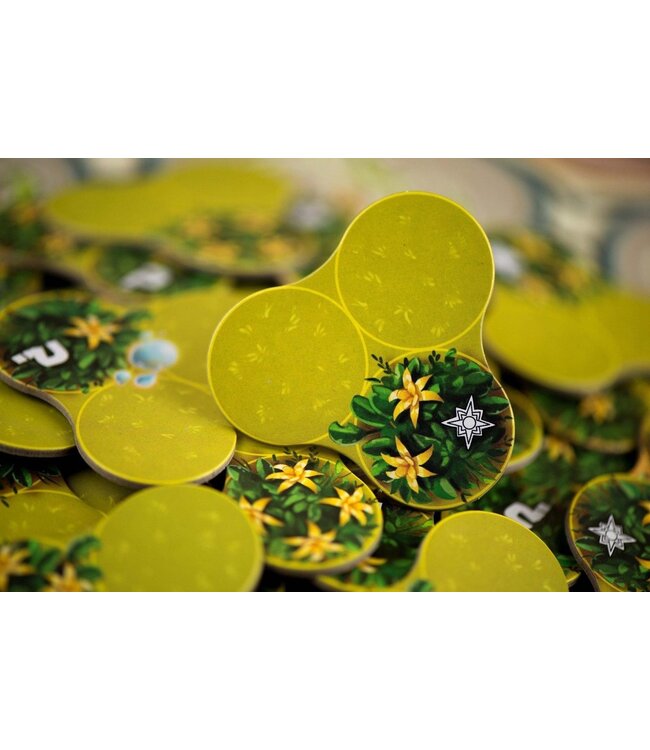 Ishtar: Gardens of Babylon (ENG) - Brettspiel