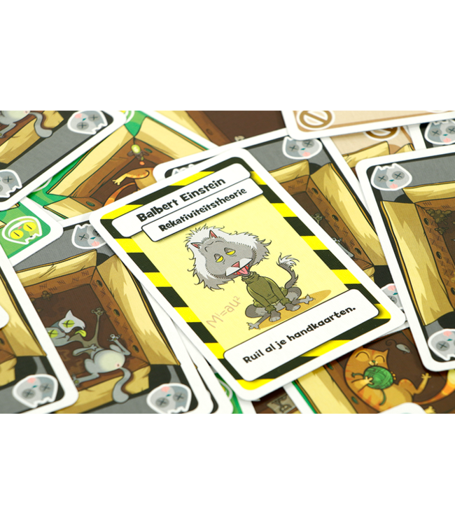 Schrödinger's Katten (NL) - Dicegame