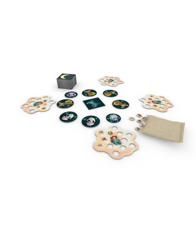 Dream Catcher (NL) - Brettspiel