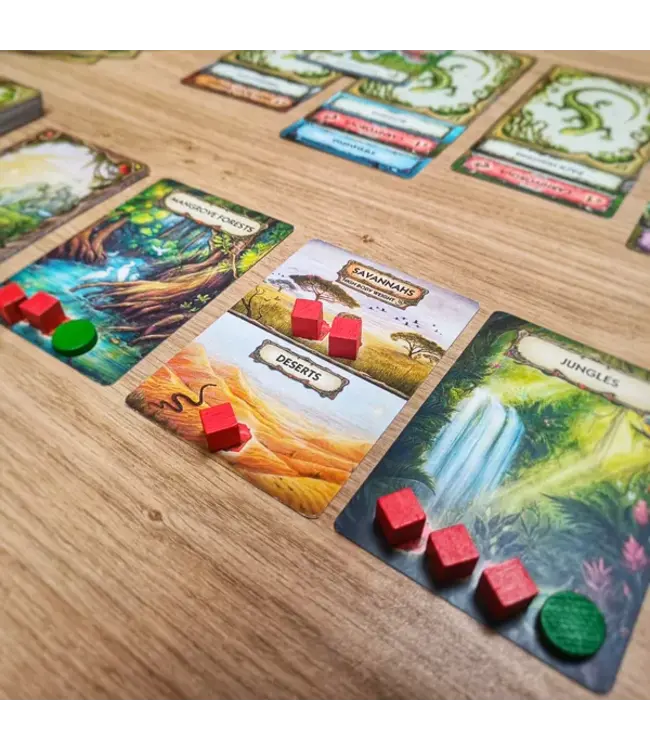 Evolution: New World (ENG) - Cardgame