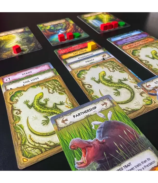 Evolution: New World (ENG) - Kartenspiel