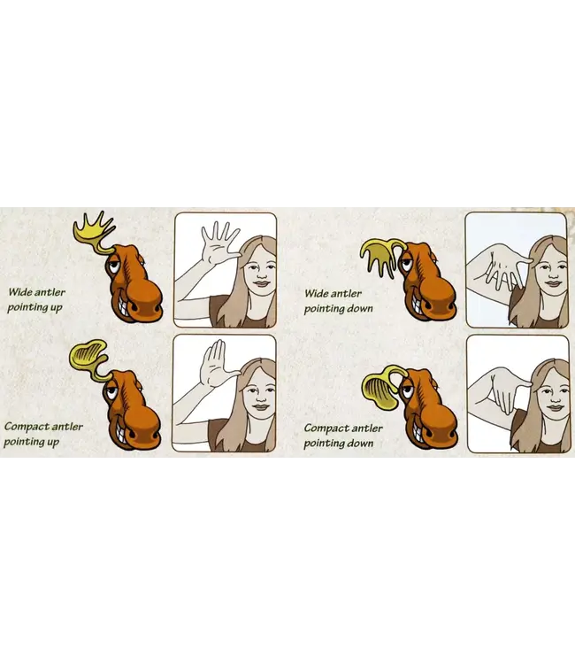 Bunny Bunny Moose Moose (ENG) - Brettspiel