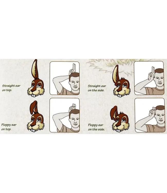 Bunny Bunny Moose Moose (ENG) - Bordspel