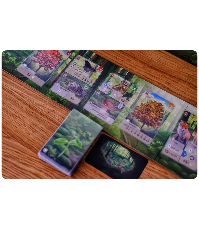 Forest Shuffle (NL) - Kartenspiel