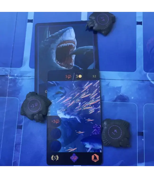 Aquatica (NL) - Boardgame