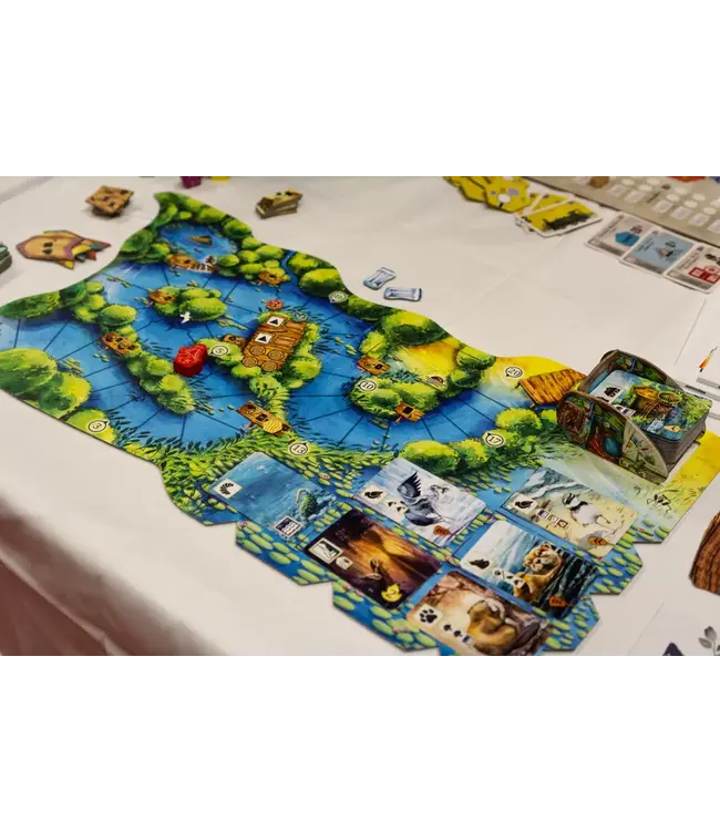 Meadow: Downstream (ENG) - Boardgame