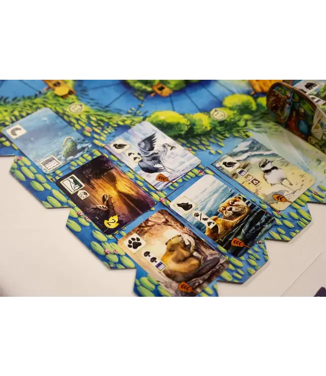 Meadow: Downstream (ENG) - Brettspiel