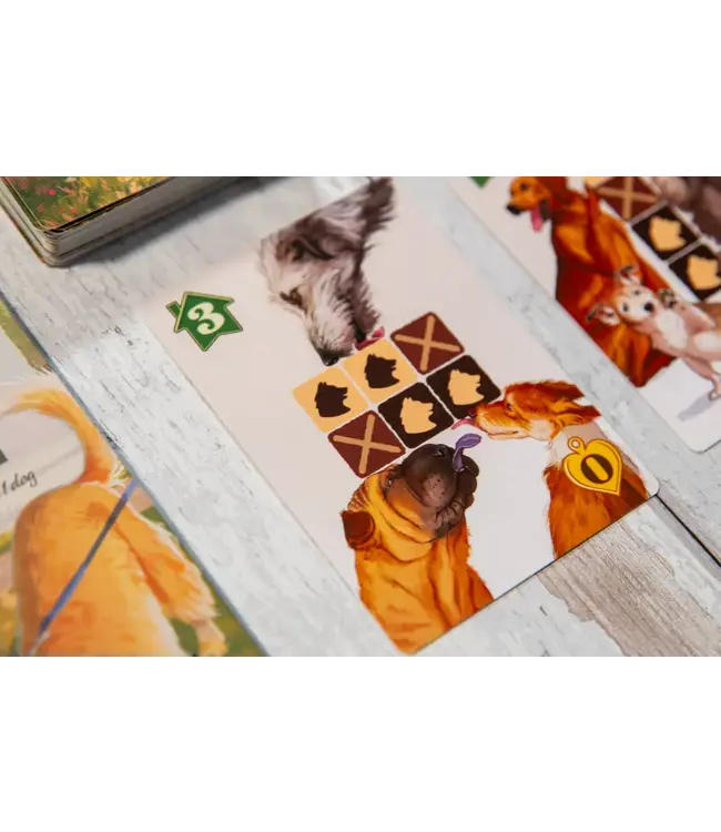 Forever Home (ENG) - Boardgame