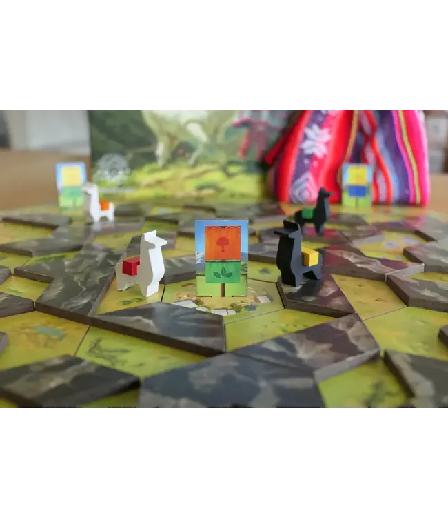 P’achakuna (NL) - Boardgame