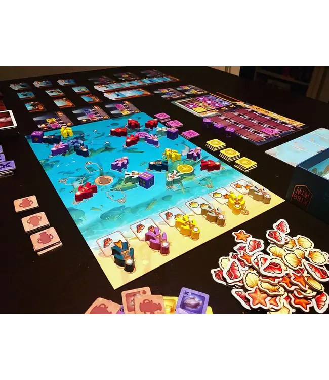 Wreck Raiders (NL) - Brettspiel