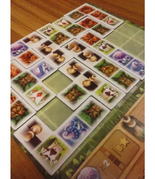 Alice's Garden (NL) - Brettspiel