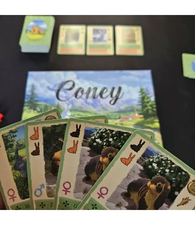 Coney (NL) - Kartenspiel