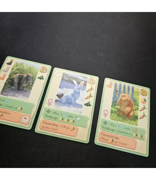 Coney (NL) - Cardgame