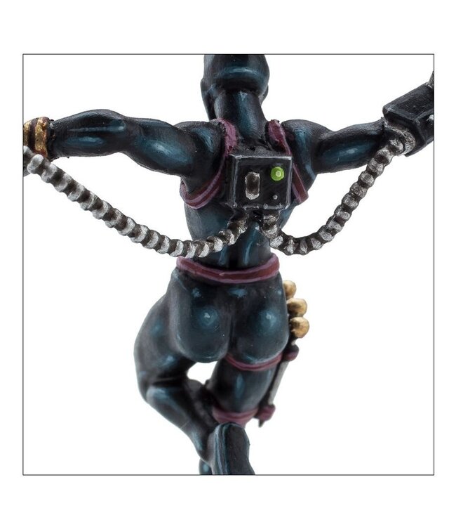 Warhammer 40,000 - Imperial Agents: Callidus Assassin