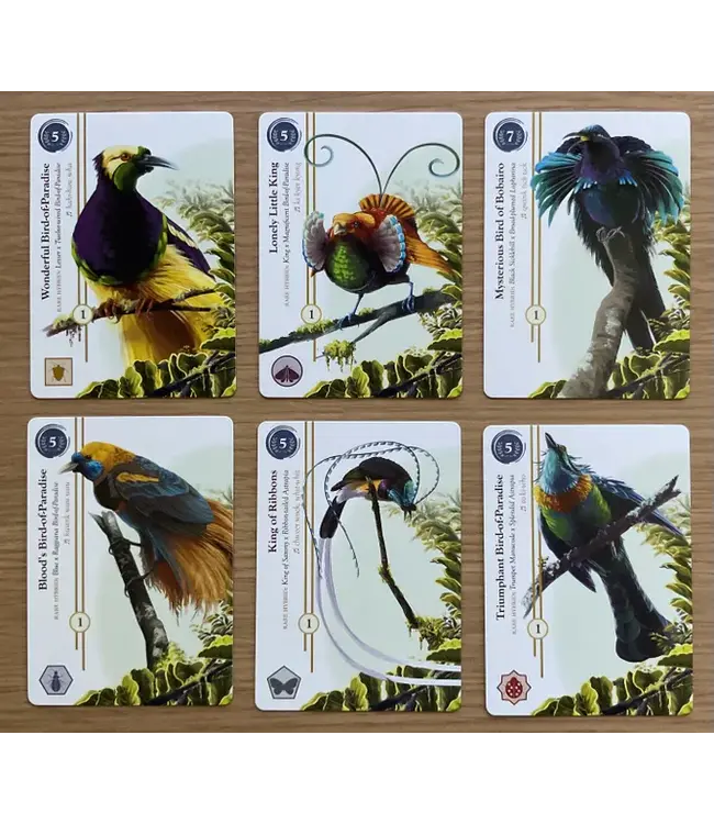 Birdwatcher (ENG) - Boardgame