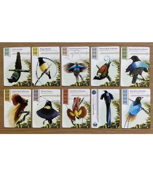 Birdwatcher (ENG) - Brettspiel