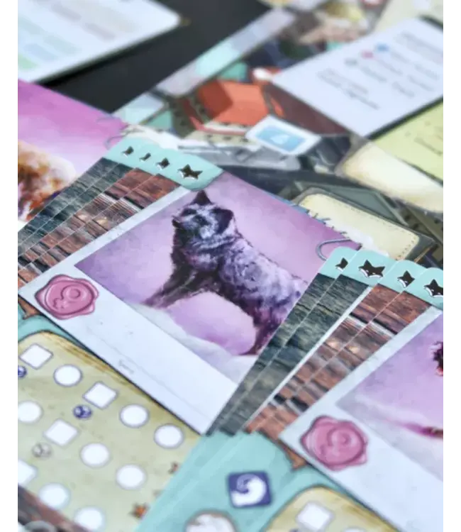 The Fox Experiment (ENG) - Brettspiel