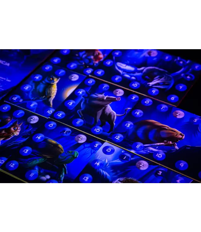 Photosynthesis: Under the Moonlight - Board game