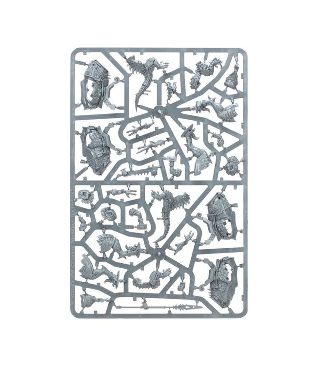 Age of Sigmar - Seraphon: Aggradon Lancers