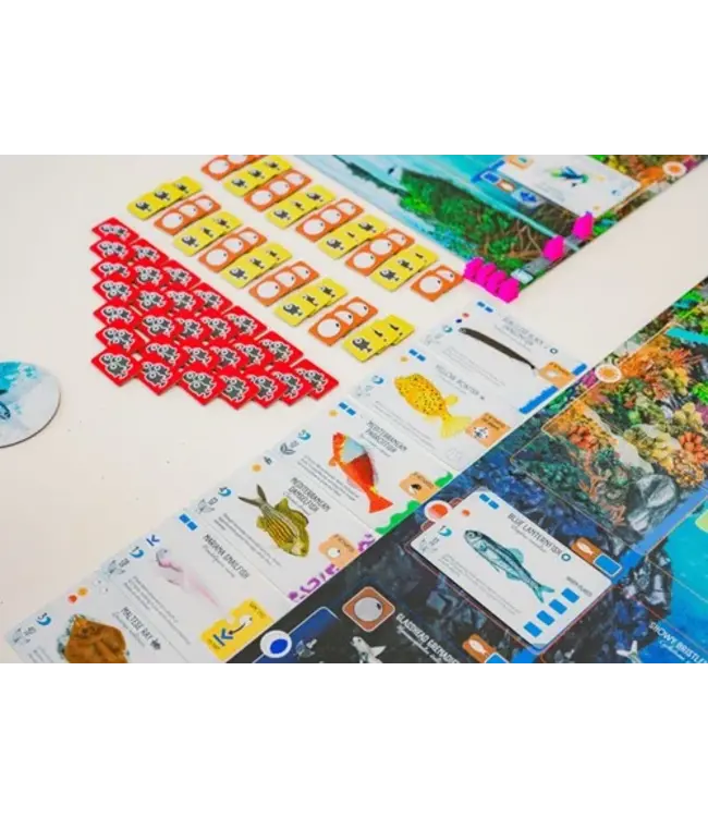 Finspan (NL) - Brettspiel