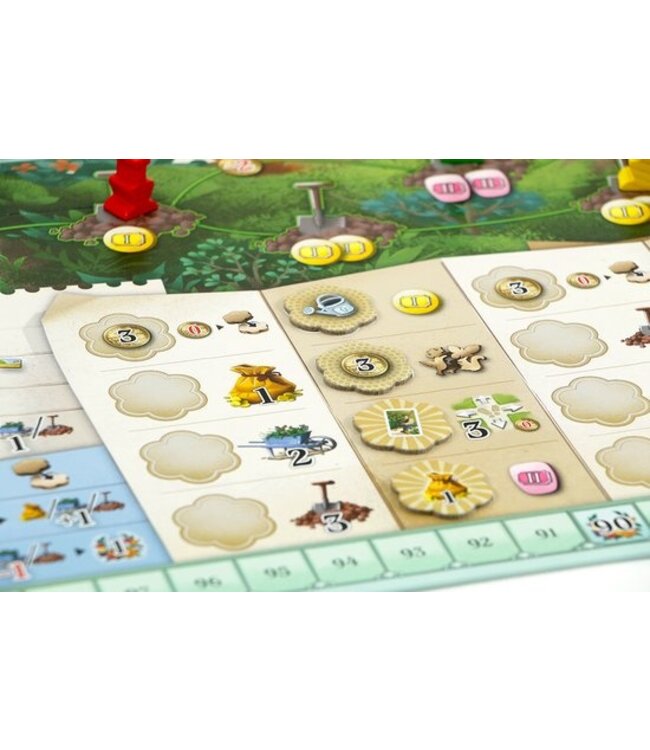 Botanicus (NL) - Brettspiel