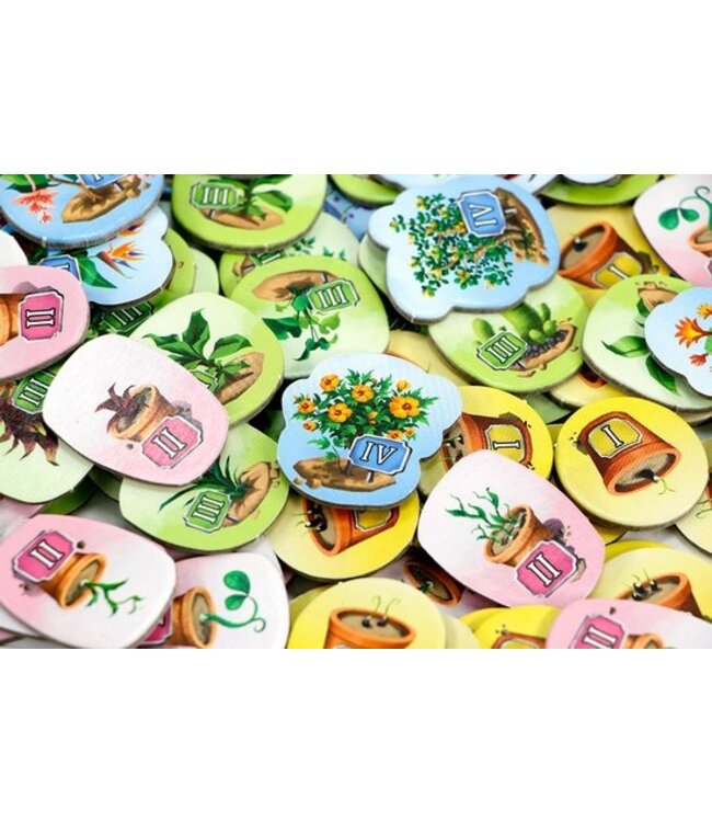 Botanicus (NL) - Board game