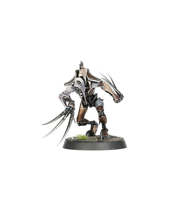 Warhammer 40,000 - Necrons: Flayed Ones