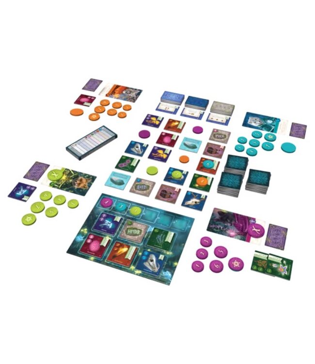 Nocturne (ENG) - Brettspiel