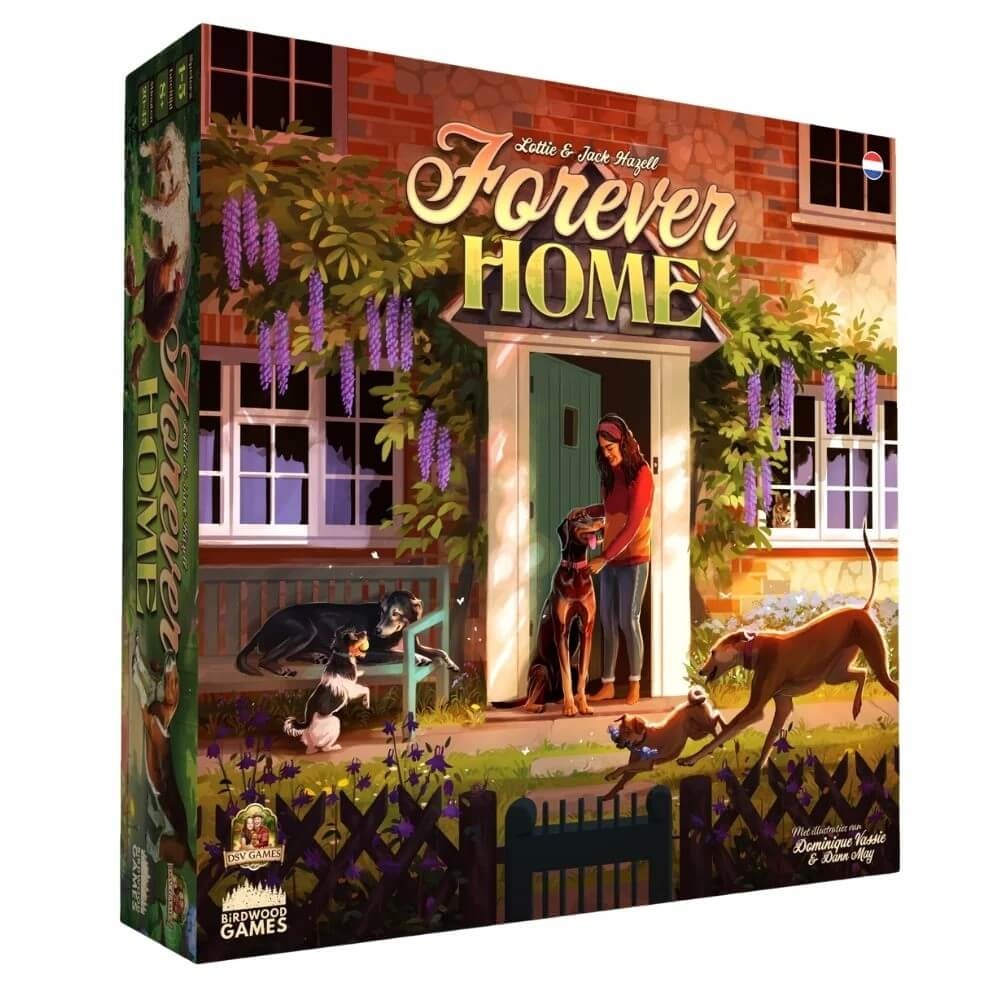 DSV Games Forever Home (NL)