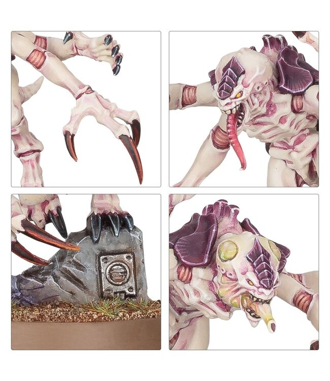 Warhammer 40,000 - Combat Patrol: Tyranid Assault Brood