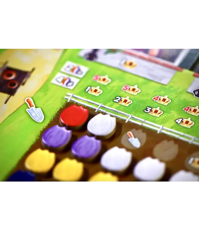 Windmill Valley (NL) - Board game