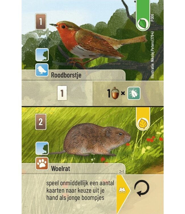 Forest Shuffle: Exploration (NL) - Card game