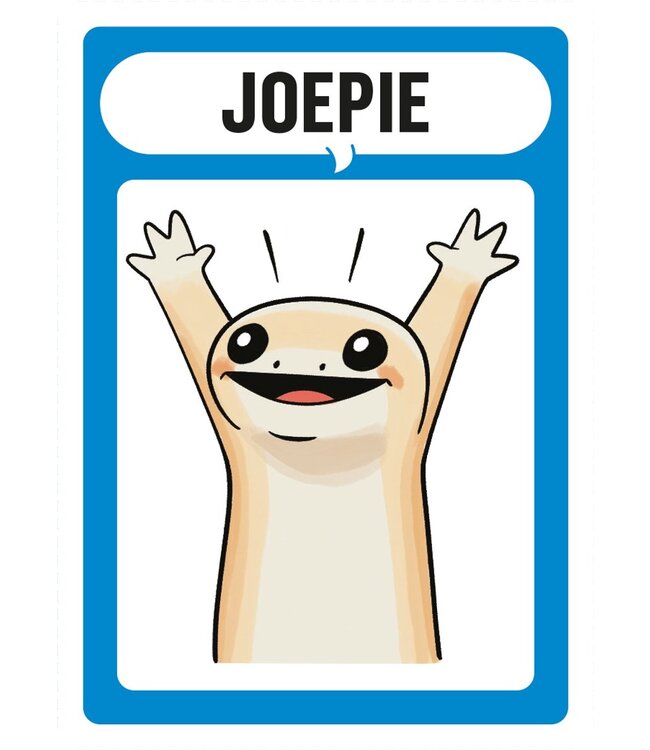 Coyote (NL) - Card game