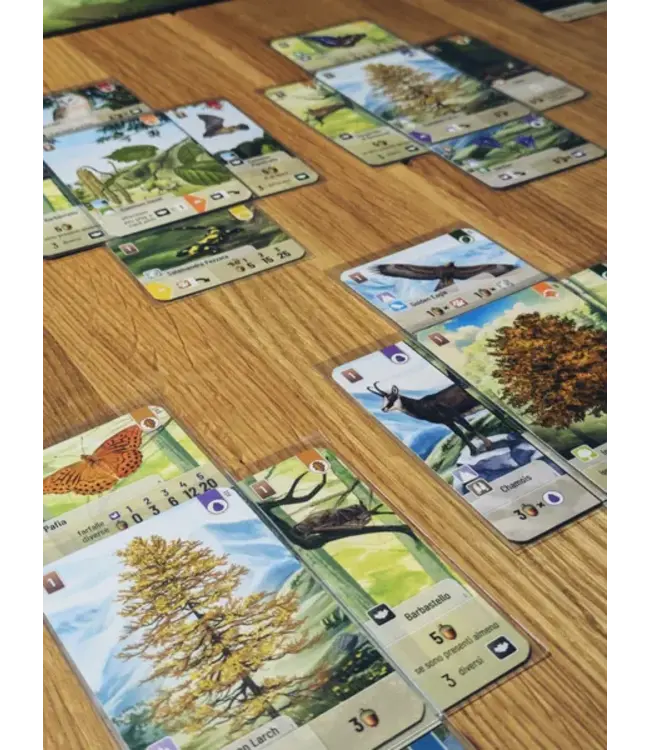 Forest Shuffle: Woodland Edge (NL) - Kaartspel