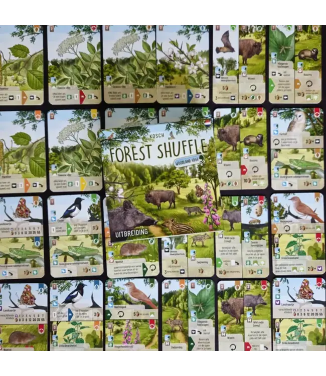 Forest Shuffle: Woodland Edge (NL) - Kartenspiel
