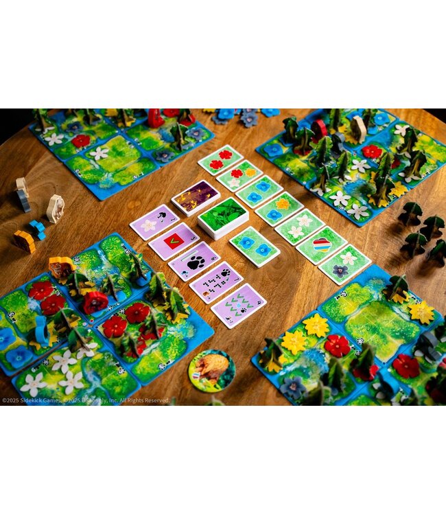 Hutan: Leven in het Regenwoud (NL) - Brettspiel