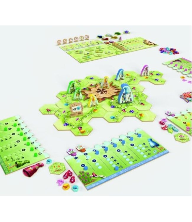 Gnome Hollow (NL) - Brettspiel