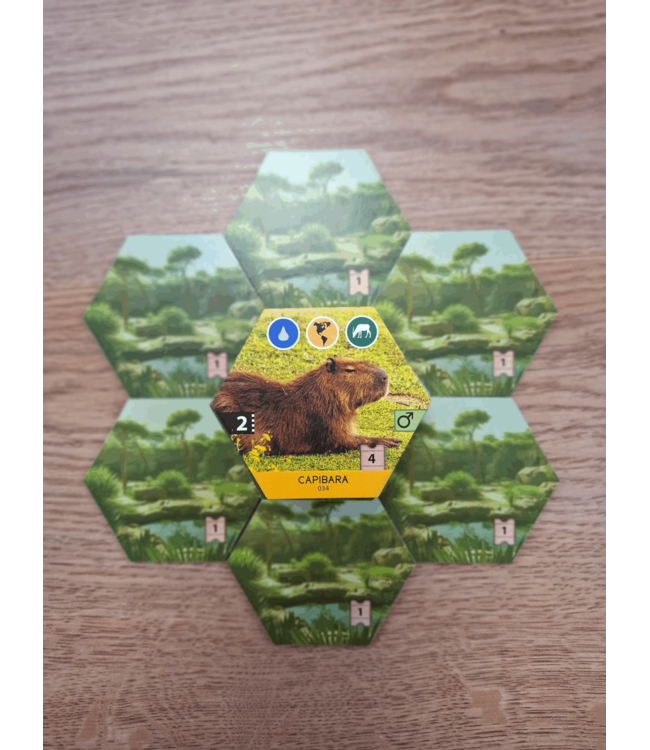 Dierenrijk (NL) - Brettspiel