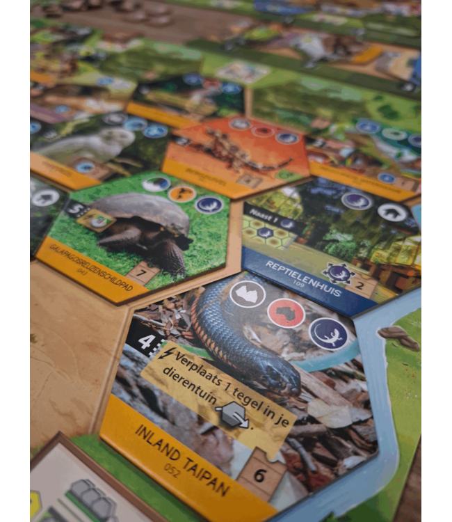 Dierenrijk (NL) - Brettspiel