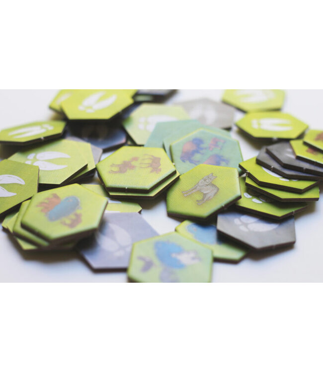 Caldera Park (NL) - Brettspiel