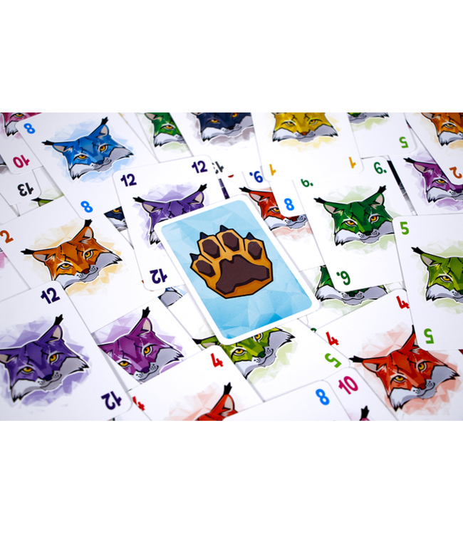 Slynx (NL) - Card game