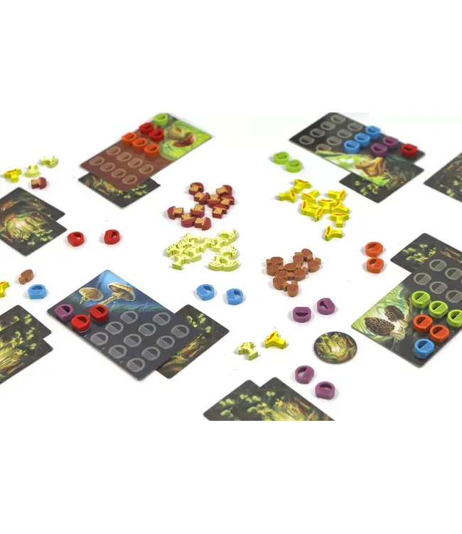 Wonder Woods (NL) - Brettspiel