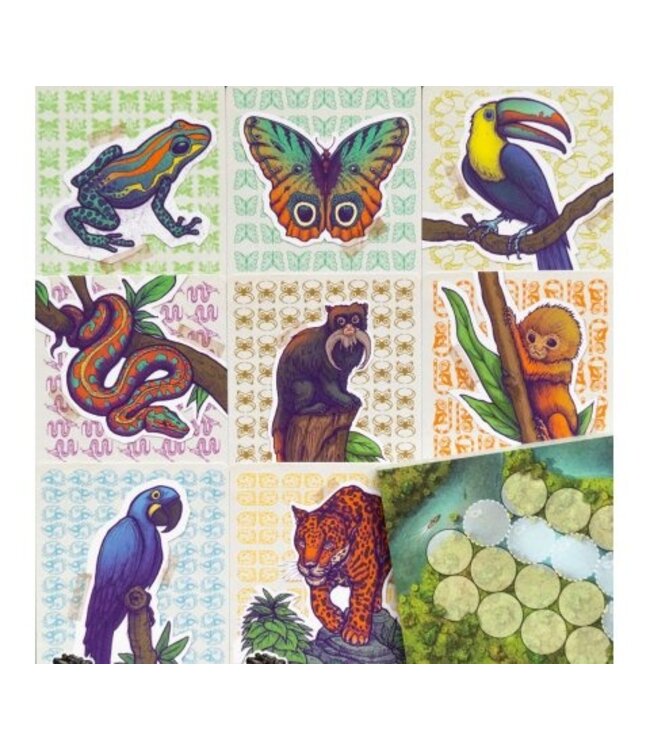 Trek 12: Amazonië (NL) - Würfelspiel