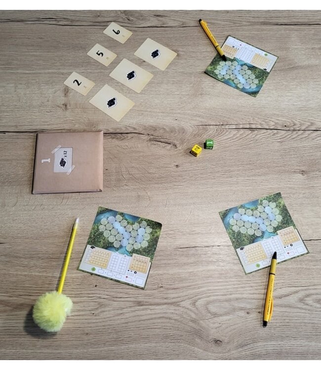 Trek 12: Amazonië (NL) - Dice game