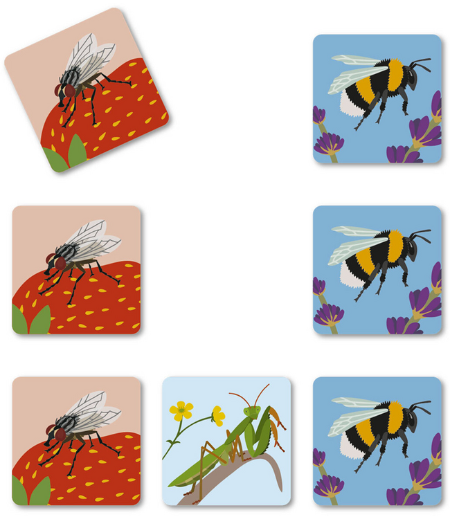 Bugs Buddy - Brettspiel