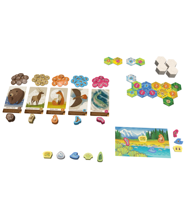 Cascadia Junior (NL) - Brettspiel