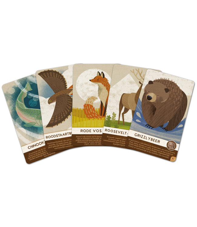 Cascadia Junior (NL) - Brettspiel